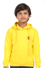DP Kids Hoodie