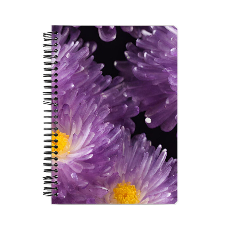 Chrysanthemum Flowers Notebook A5