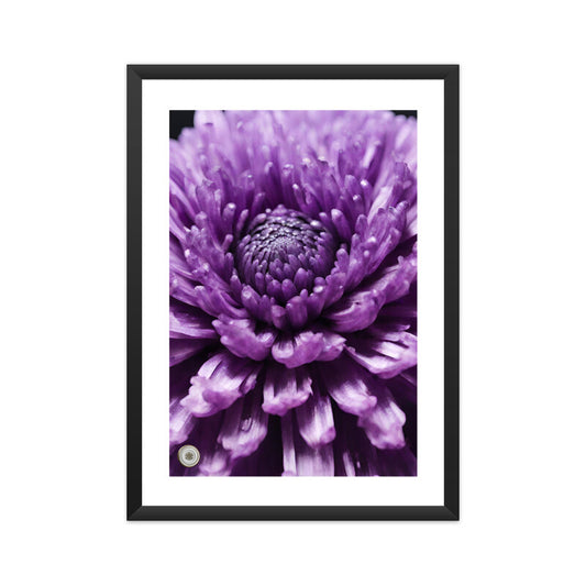 Chrysanthemum Flower Closed Framed Art A3 Framed