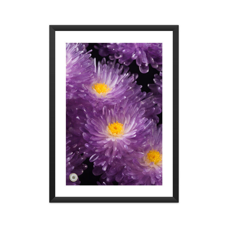 Chrysanthemum Flowers Framed Art A3 Framed