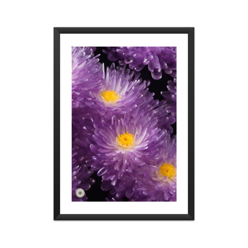 Chrysanthemum Flowers Framed Art A4 Framed